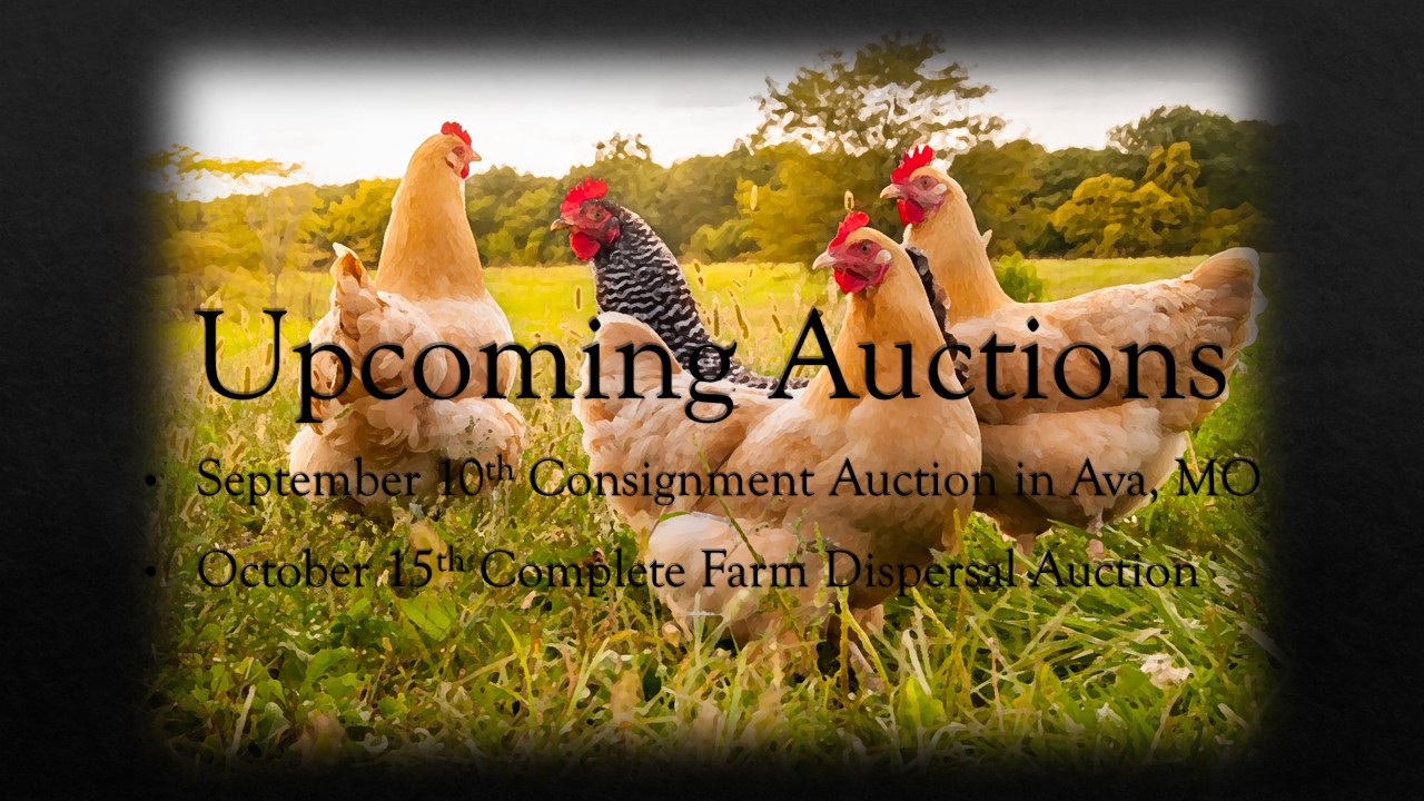 Consignments Welcome!